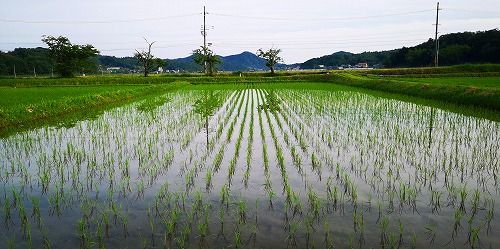 £¶·î£±£´Æü¤Ç£²£°Æü·Ð¤Á¤Þ¤·¤¿¡£