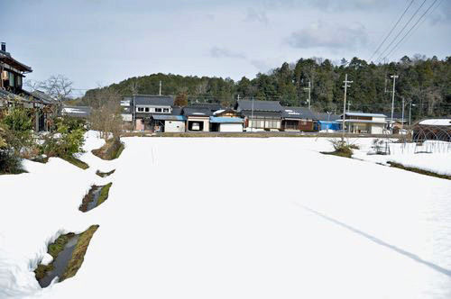 ��ǯ�ϡ������������