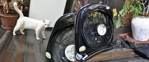 坂本龍馬 新林の滝BK-38 マイナスイオン機能付き 循環ルーバー 扇風機 美と健康（新林の滝「龍馬の新風」） : 京丹後のおやじのうんちく日記