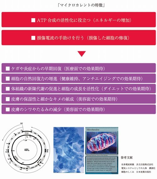 �ޥ����������Ȥ���ħ