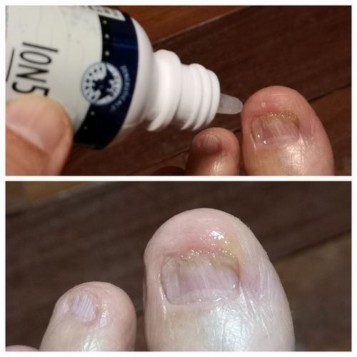 ������Ϥ�夬���