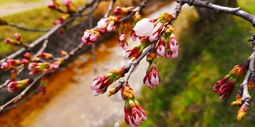 ��褤�Υ��ᥤ�襷�Τ��餭�Ϥ�ޤ���