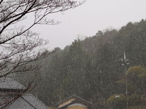 ������ϥ���캮����α�