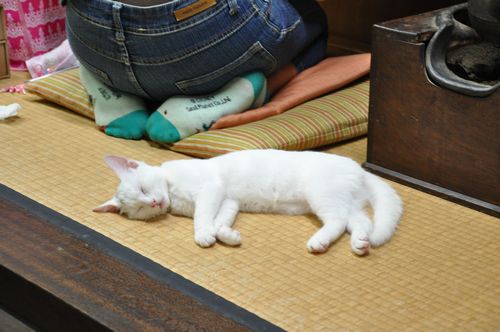 塾生が真剣に絵を描いているのを尻目に・・・