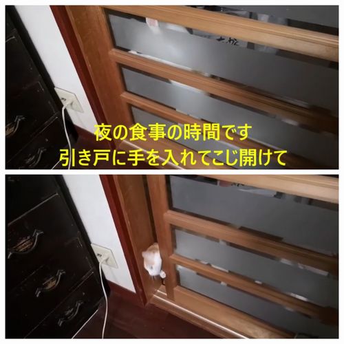 ͼ���ˤʤ�Ȥޤ��ޤ����䤫��