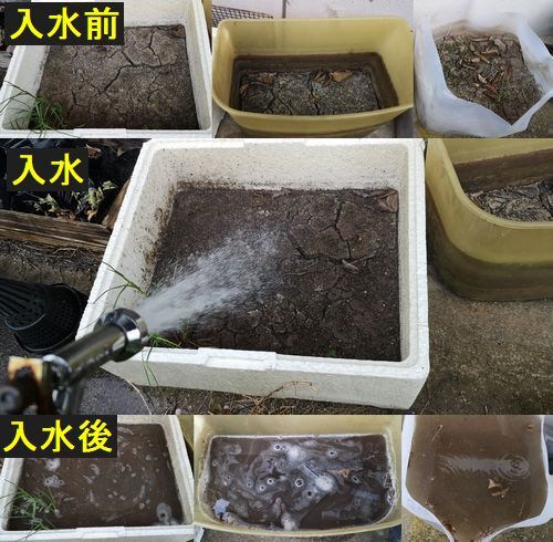 £µ·î£±£¶Æü¤Ë¿å¤òÆþ¤ì¤Þ¤·¤¿