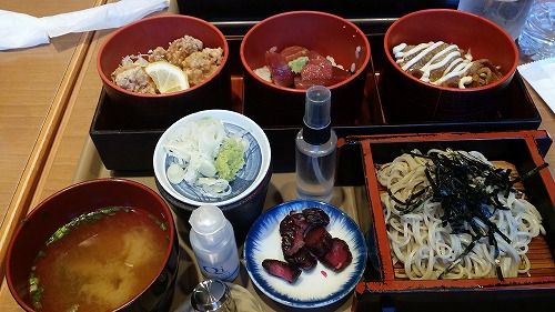 ���Ӥ��̤�¿�����ޤ������������٤ޤ���