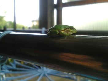 ʪ���Ȥξ�Υ��ޥ�����