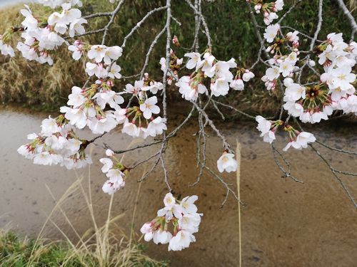 �������������ˤʤ�ޤ���