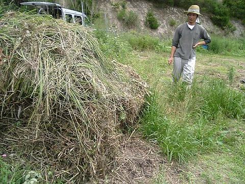 �����⤯�Ѥޤ줿������