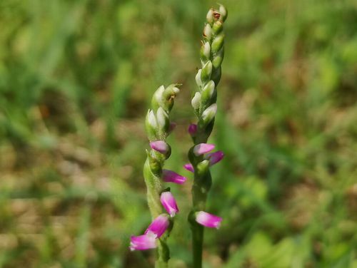 �⥸����ʤ��ʡˤ��餭�Ϥ�ޤ���