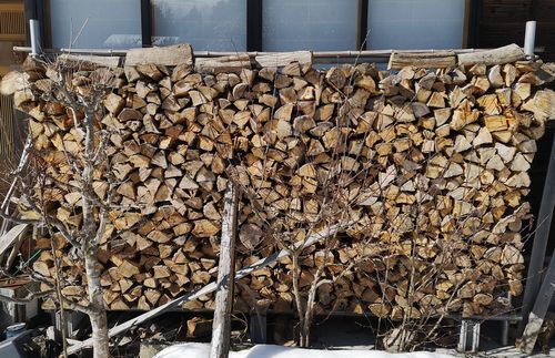 �����������ѤοŤλĤ�ϣ�ê�Ǥ� (1)