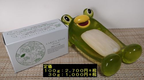 ��ʪ�����ꥫ�и�