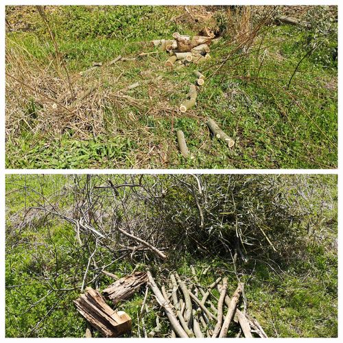 �ޤ���Ȥ��ơ����ڤ괰λ