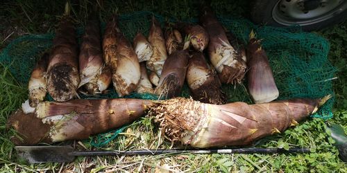 £²£°Ëܤⷡ¤ê¤Þ¤·¤¿