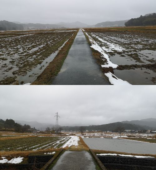 �����Ĥ�ܤ���ϰ쵤�˾ä��ޤ���