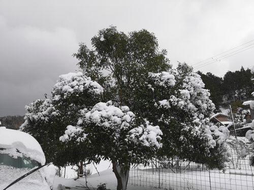 ���������������㤬³���Ƥ��ޤ�