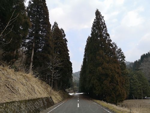 ��ǯ�ѻ����Ƥ����