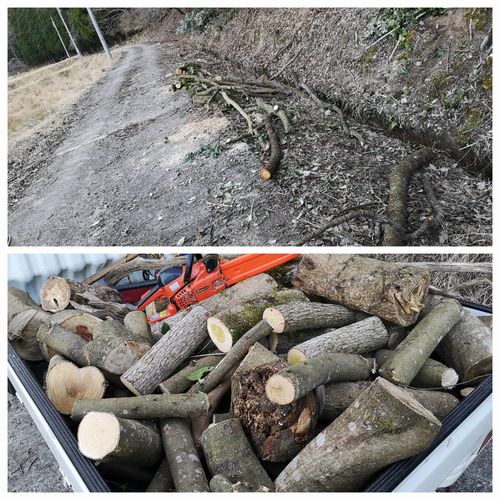 �ڥȥ飱��ʬ�Ǥ�