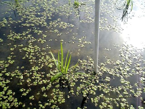 ��������Ŀ����壱���ַФ��ޤ���