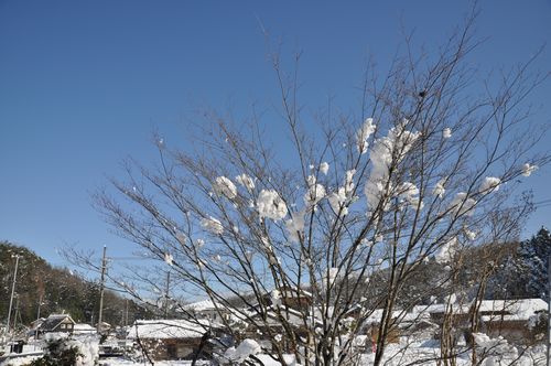 �֤ա����������äȤ�������