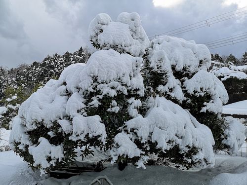 ����ǽŤ�������˹��