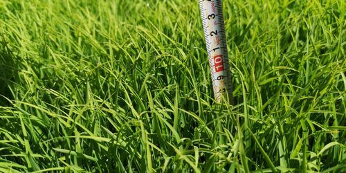 Áð¾æ¤Ï¤Þ¤À£±£°¥»¥ó¥Á;¤ê¤Ç