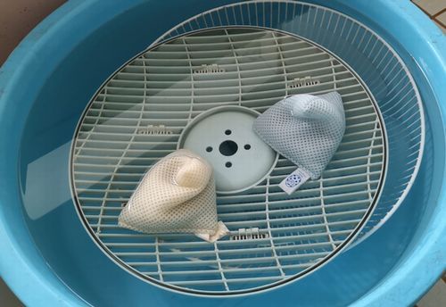 ������˿����ޤ���