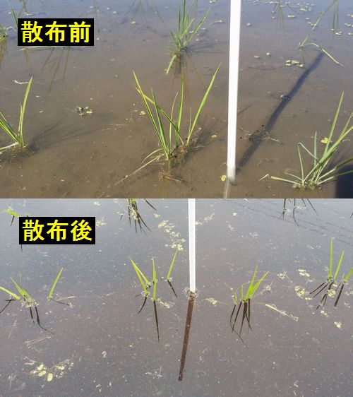 �Ĥ�ܤο夬���쿧������ޤ�
