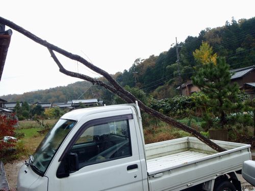 撤去作業で薪ストーブ用の木を調達しました