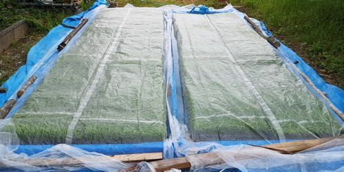 ¥ï¥ê¥Õ¤ÎÈïʤ¤Ï·Ñ³¤·¤Þ¤¹