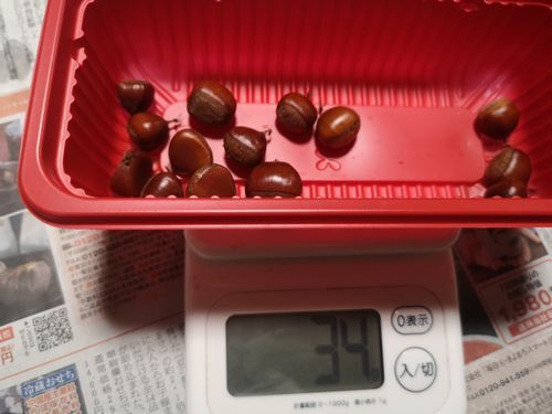 ���Х���ϣ�����