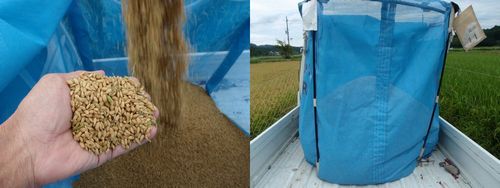 ���Ϥ�����ϥ����������Ǵ��礷�Ƥ��������ޤ�