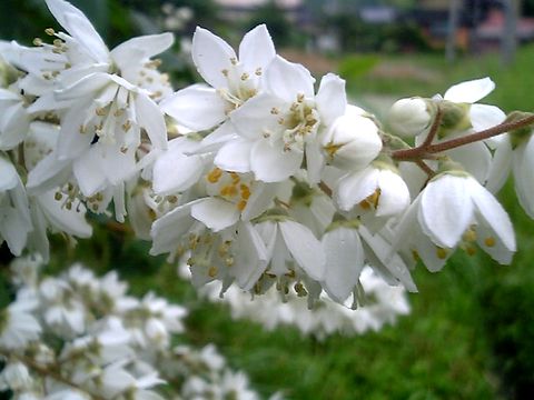 ���ĥ�����̾���β֡�