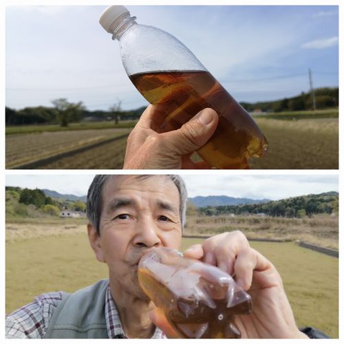 �֥����ѡ����ڥ��������