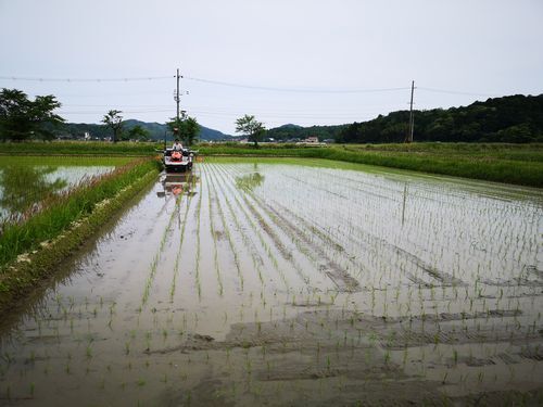 �������ץ��Ǥ���