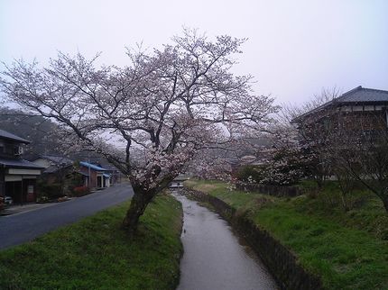 �ղ��������褤�κ�