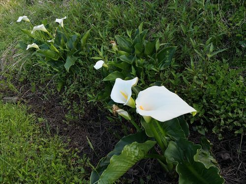 ���顼�Ϥ�����������餤�Ƥ��ޤ�