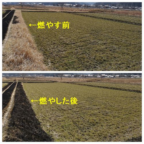 �����ʤ��Ѥ��ޤ���