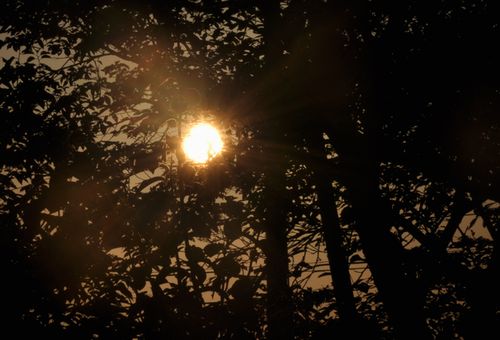 ½ë¤¤ÂÀÍÛ¤¬Í¼Æü¤È¤Ê¤Ã¤Æ