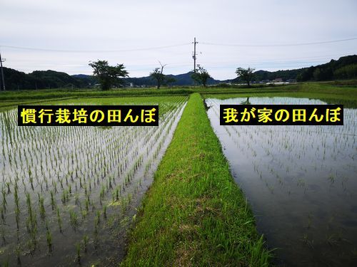 �����椬�Ȥ�̵������̵�������ݤ��Ĥ��