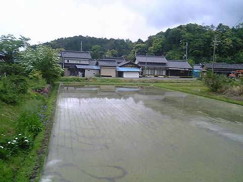 ���ۤ򽪤������䤸���Ĥ��