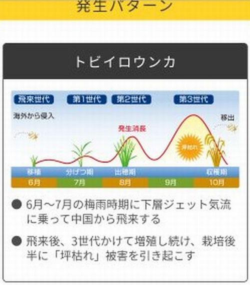 �ȥӥ�������