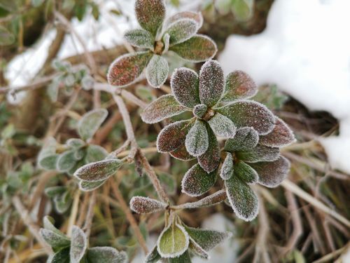 ¥Ä¥Ä¥¸¤ÎÍÕ¤Ï