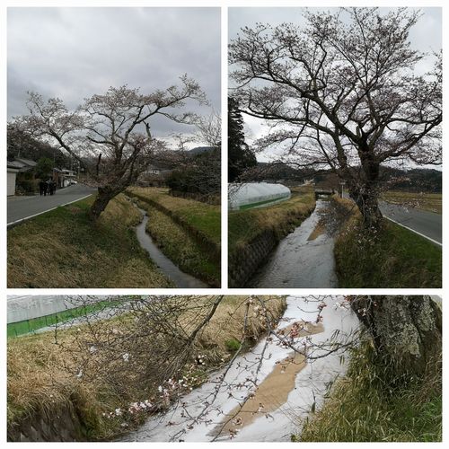 ��ʬ����ʬ�餭