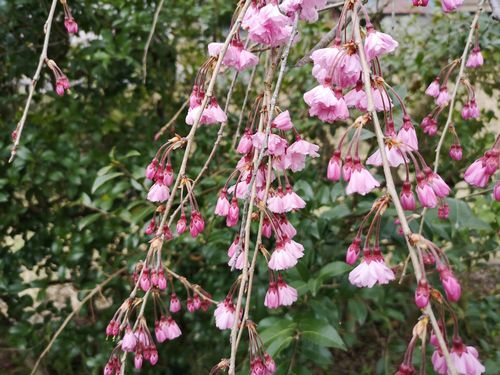 ���λ޿�����