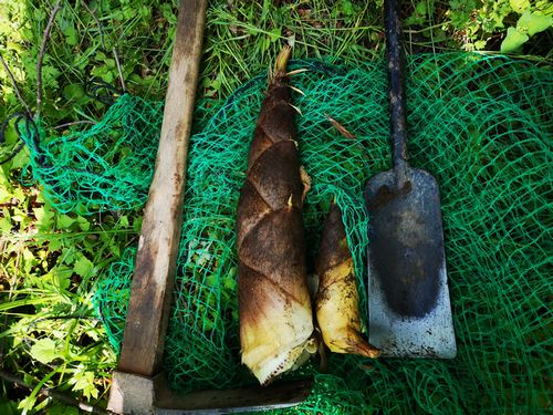 �����Υ������ܾ夬�äƤ��ޤ���