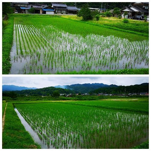 £³£°Æü·Ð¤Á¤Þ¤·¤¿