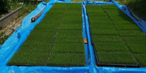 ̵»öʤٽª¤¨¤Þ¤·¤¿