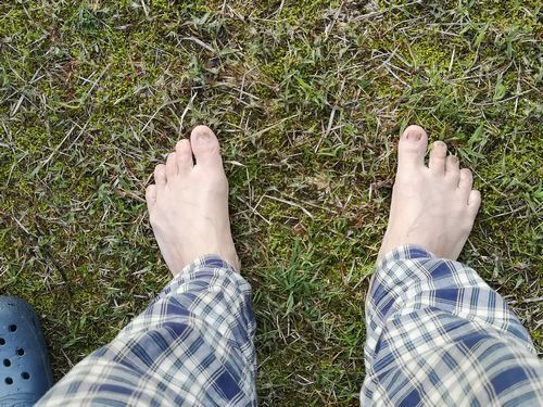 ��­�ǥ�������